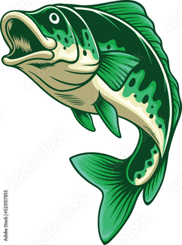 Bass fish illustration with premium quality stock vector