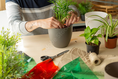 man transplanting a plant into a pot. person surrounded by producers of gardening and floral decoration 