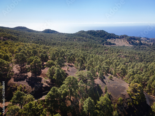 Drone flight over the beautiful lush green pine forest on El Hierro, el pinar