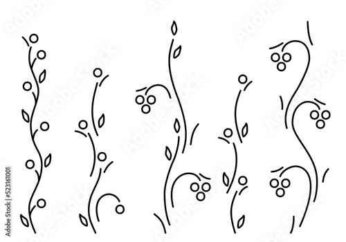 Berry bushes and vines isolated on white background. Line art style. Stylized berries, grape and plants for gardening, eco design, wine labels, food package or other use. Vector illustration. Set.