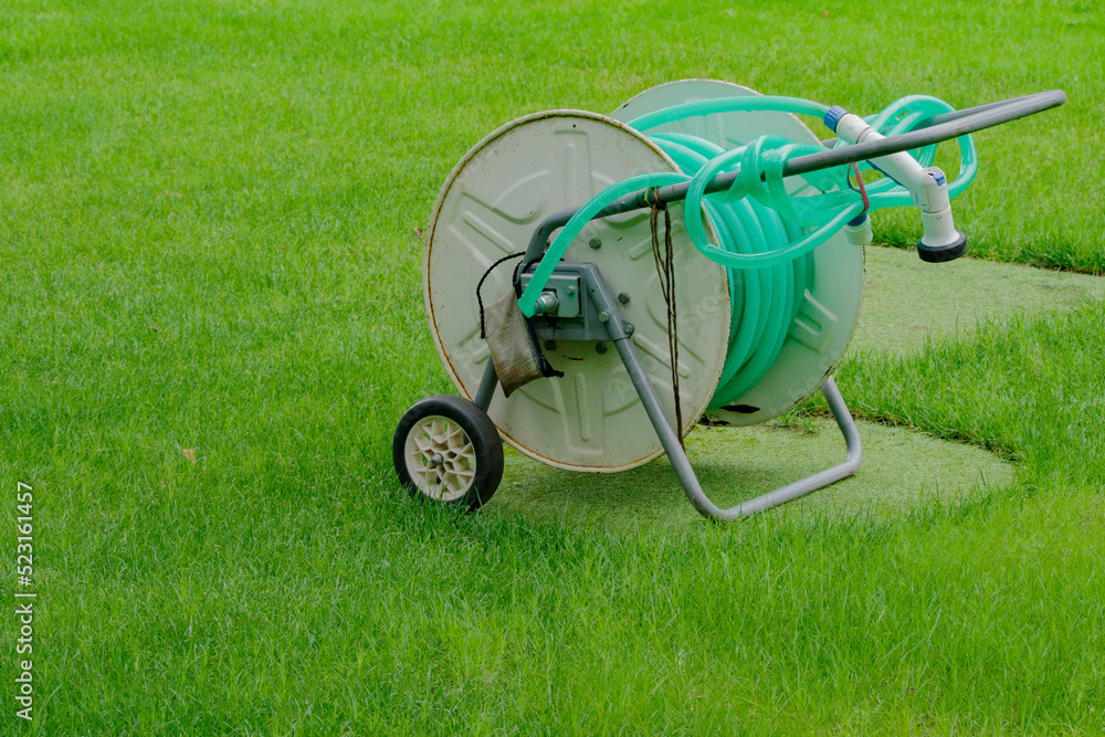 Fototapeta premium 鮮やかな芝生の緑と散水用のホース
