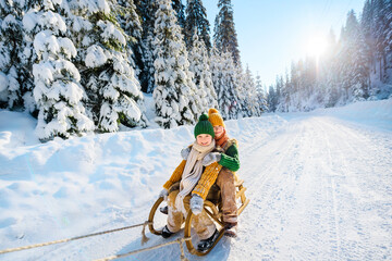 Happy family children ride on a wooden retro sled against the backdrop of a beautiful winter landscape with snow-covered fir trees. Sunny winter day.