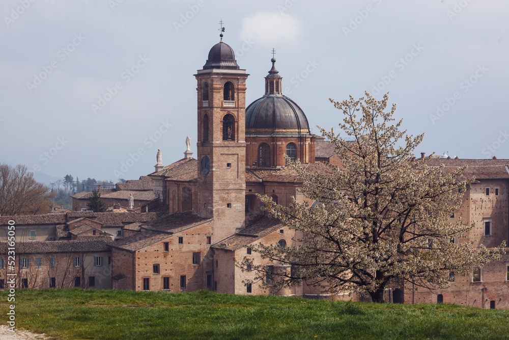 Palazzo Ducale di Urbino. Veduta esterna dal prato
