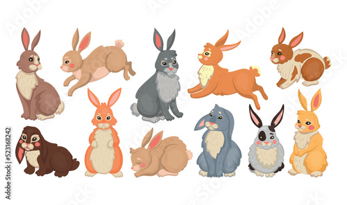 Bunny rabbit and easter hare. Cute animal drawing different breeds, farm baby pet set, color happy forest character, standing jumping and sitting rodent. Vector cartoon collection