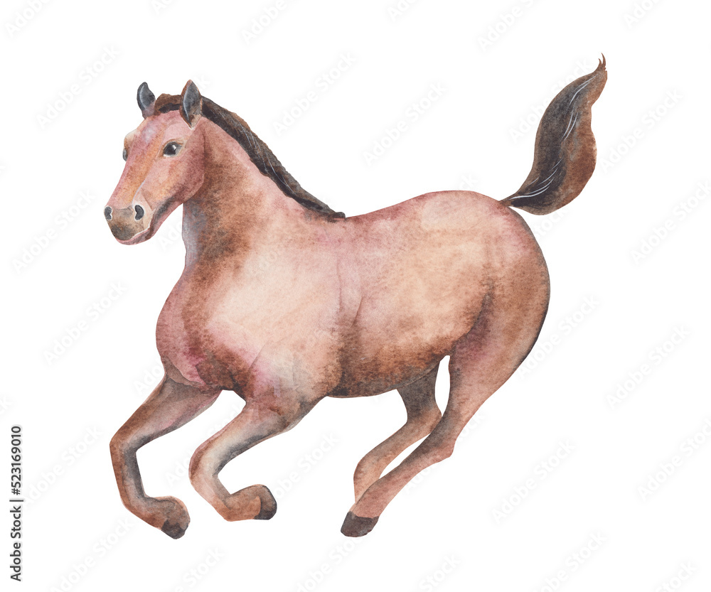 Fototapeta premium Horse isolated on white background. Watercolor illustration of horse. Chinese Zodiac animals concept