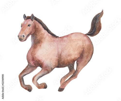 Horse isolated on white background. Watercolor illustration of horse. Chinese Zodiac animals concept