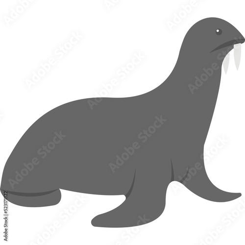 Harbor Seal Vector Icon 