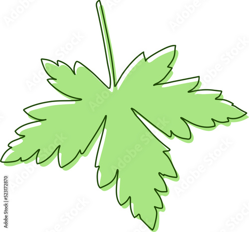 Leaf silhouette. Leaf of the tree stylized icon