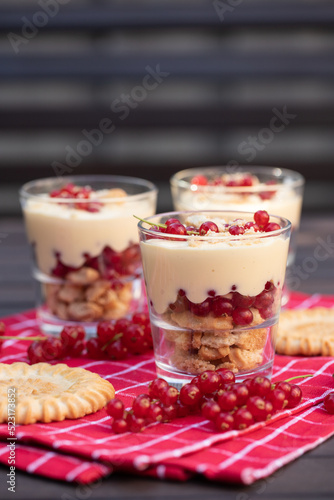 Dessert mit Johannisbeeren, Vanillepudding und Keks auf roter Tischdecke