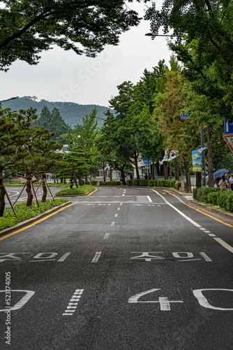 한국 수풀 사이의 분위기 있는 도로