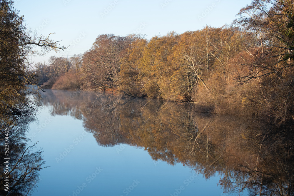 Obraz premium Reflection of a forest river tree