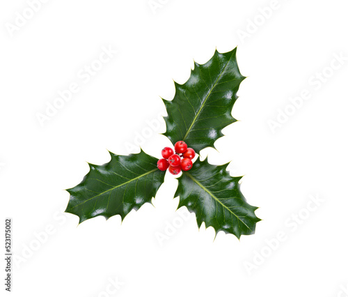 Obraz na płótnie A sprig, three leaves, of green holly and red berries for Christmas decoration isolated against a transparent background. w salonie