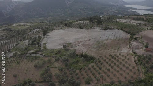 Aerial Drone view of Green Fields, Hills and Trees in a with Small Houses. Turkey.