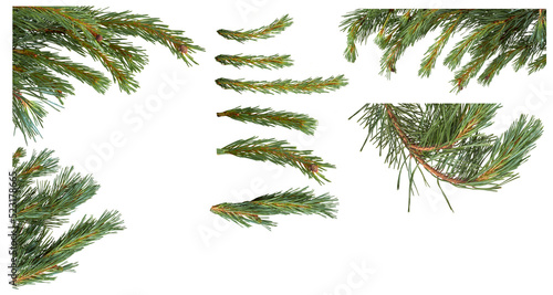 Obraz na płótnie Isolated Christmas Tree branch isolated on a transparent background. w salonie