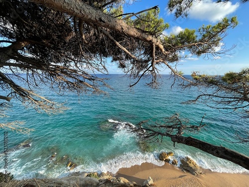 View of a paradisiac beach photo