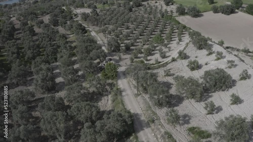 Aerial Drone view of Green Fields, Hills and Trees in a with Small Houses. Turkey.