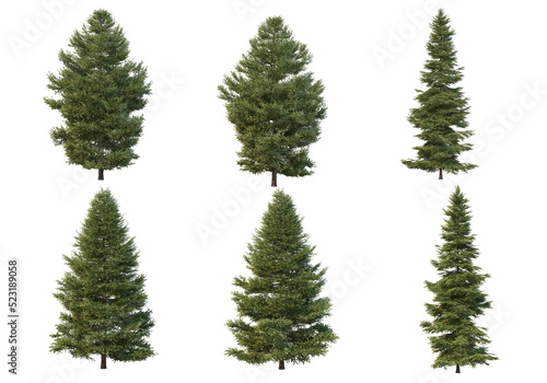 Pine trees on a transparent background © jomphon