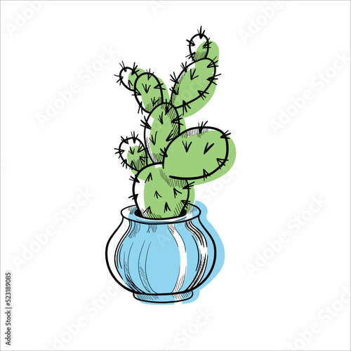 Cactus in flowerpots colorful flat illustration isolated o white