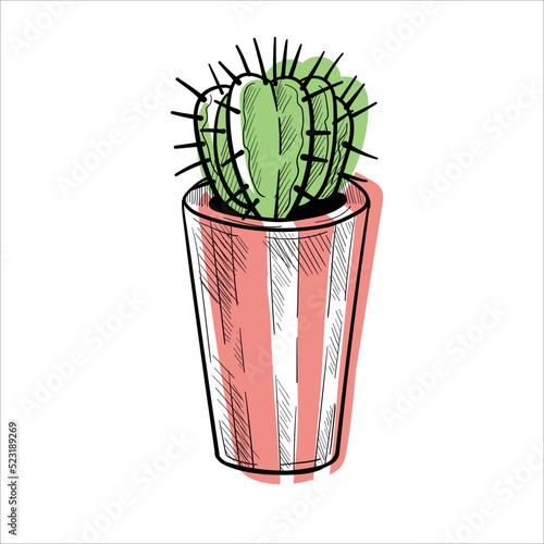 Cactus in flowerpots colorful flat illustration isolated o white