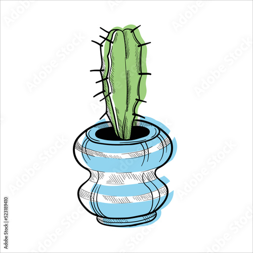 Cactus in flowerpots colorful flat illustration isolated o white