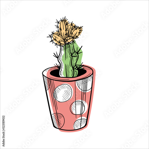 Cactus in flowerpots colorful flat illustration isolated o white
