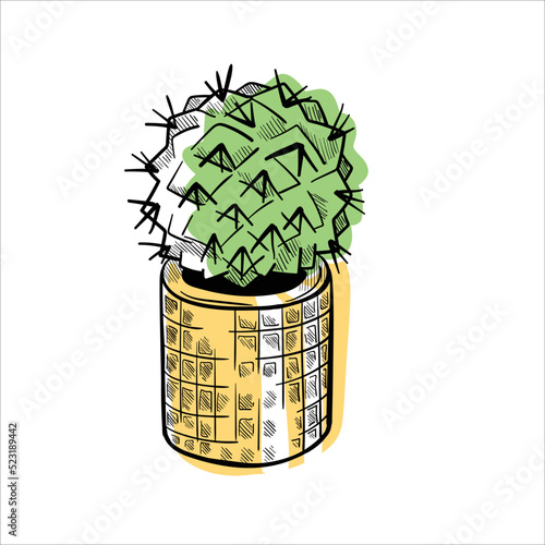 Cactus in flowerpots colorful flat illustration isolated o white