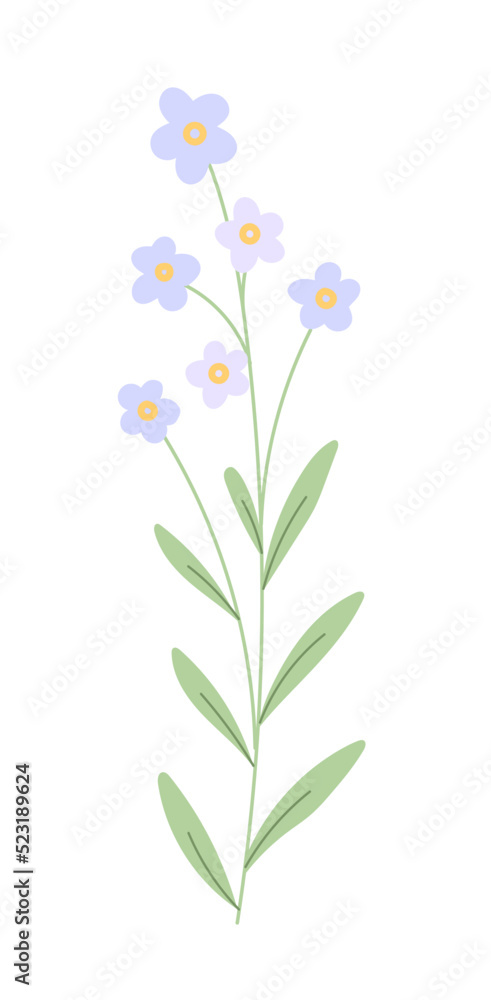 Obraz premium Flower with blooming bud vector.