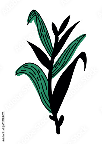 leafs garden plant foliage