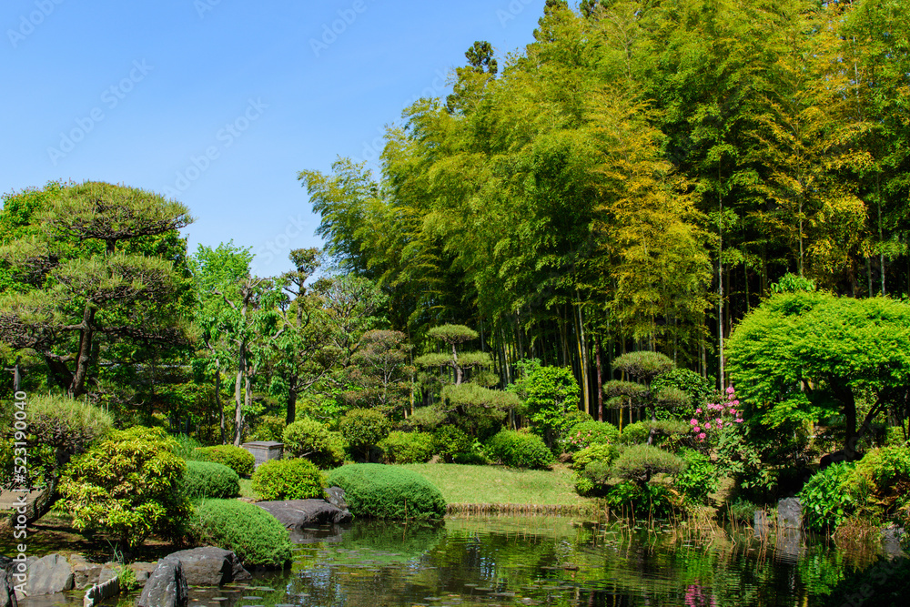 日本庭園　池　緑のマイナスイオン　日本　所沢のパワースポット　和風な公園イメージ　背景　素材　25