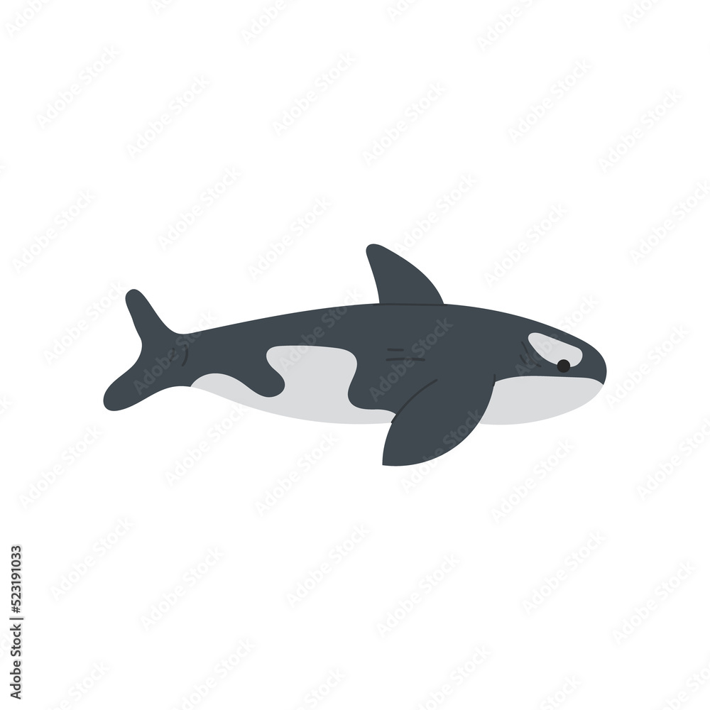 Fototapeta premium Whale illustration. Aquatic animal illustration.