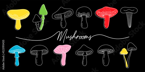 Set of mushroom icons. Black mushrooms outline banner. Different mushrooms line symbols. Chanterelle, amanita muscaria, truffle, porcini, morels.