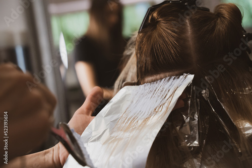 Hair Coloring In A Beauty Salon. Professional wizard paints the hair in the salon. Beauty concept, hair care. Hairdressing Services. © velishchuk