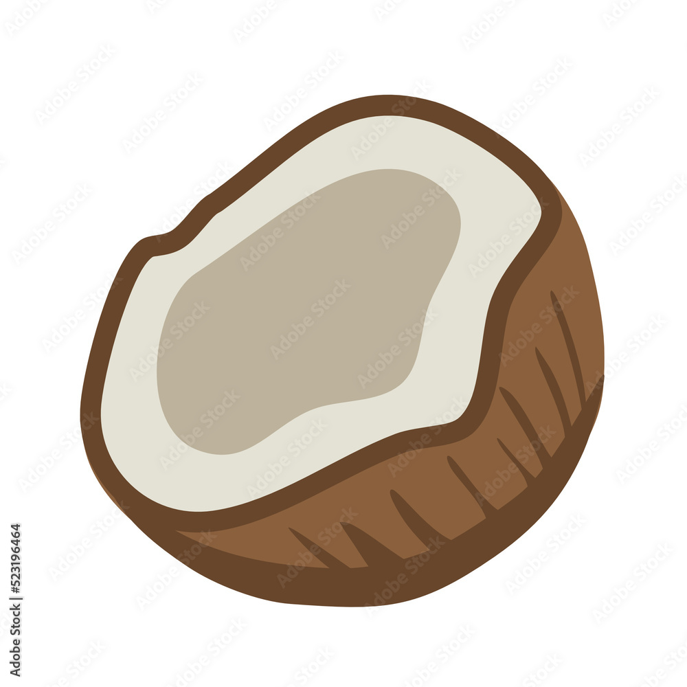 coconut fruit coconut fruit