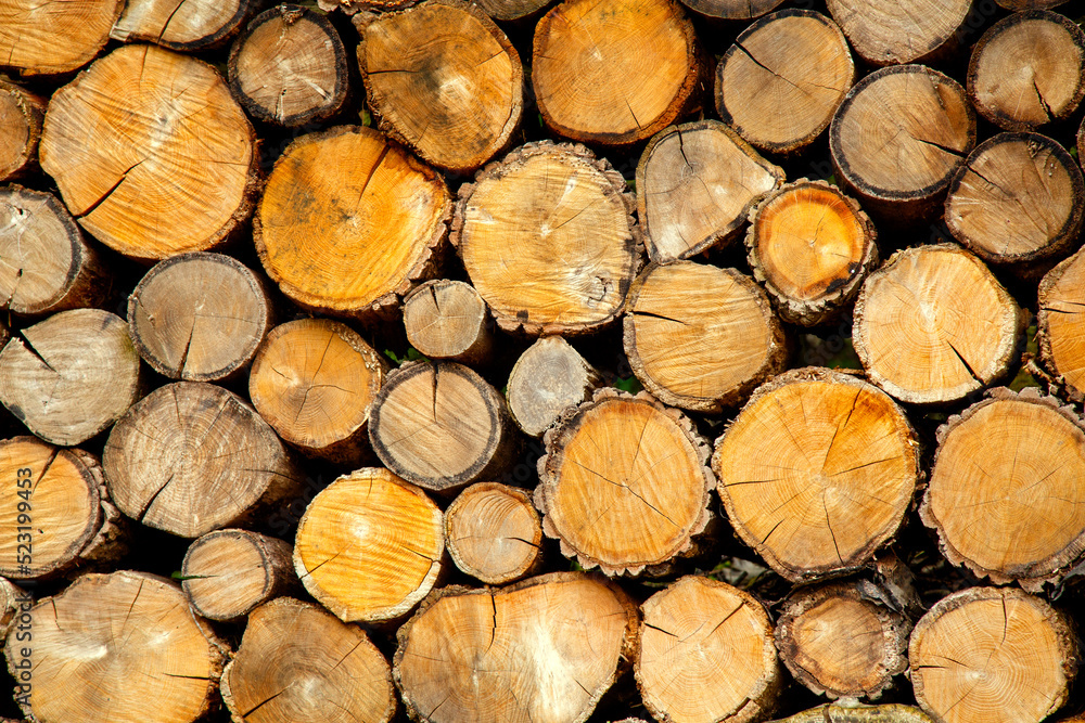 A bunch of chopped firewood against the background of a woodcutter. Chopped firewood on hemp for a fireplace and stove. The concept of heating, warmth, survival. A bunch of chopped firewood against the background of a woodcutter. Chopped firewood on hemp for a fireplace and stove. The concept of heating, warmth, survival.