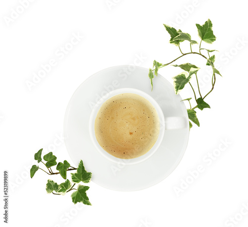 Cup of coffee and green ivy...