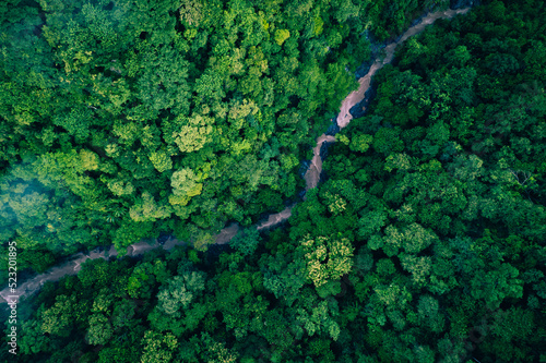 river flowing in the forest. Aerial view
