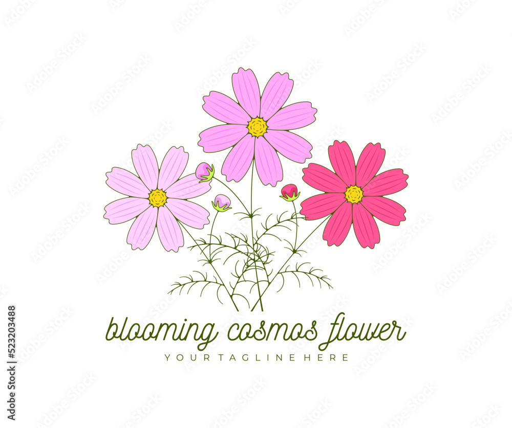 Blooming cosmos flower, kosmeya and cosmos, logo design. Nature, floral, bloom and floristry, vector design and illustration Blooming cosmos flower, kosmeya and cosmos, logo design. Nature, floral, bloom and floristry, vector design and illustration