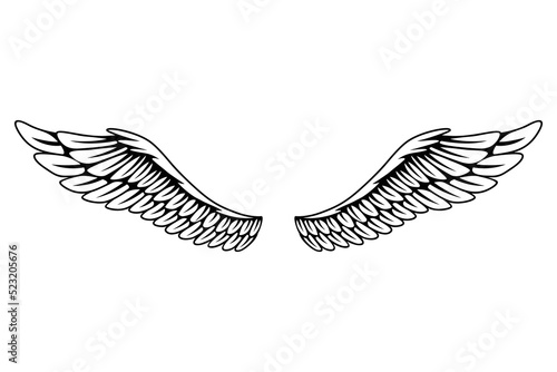 Vintage heraldic wings sketch. Monochrome stylized birds wings. Hand drawn contoured stiker wing in open position. Design elements in coloring style