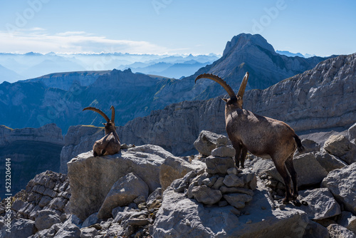 Wandern am Säntis in der Schweiz photo