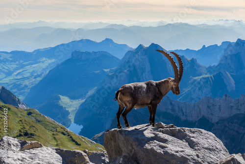 Wandern am Säntis in der Schweiz
