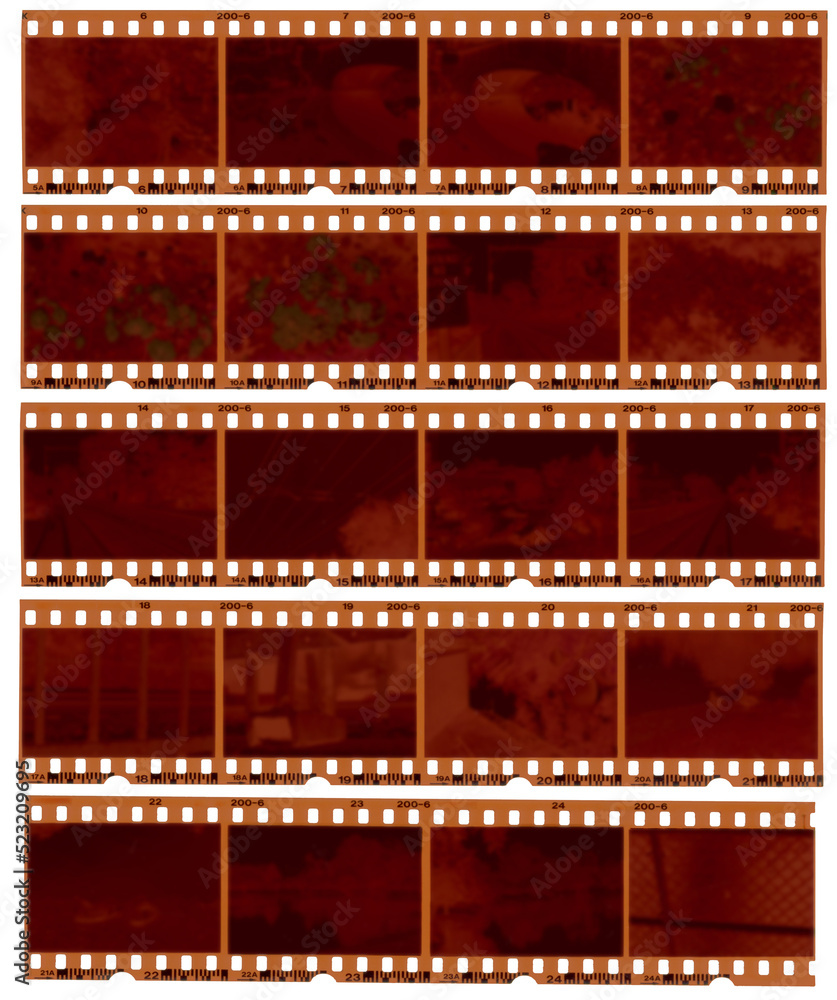 Color 35mm negative film strips