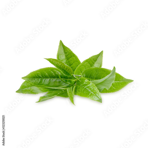 Green tea leaves isolated on white background