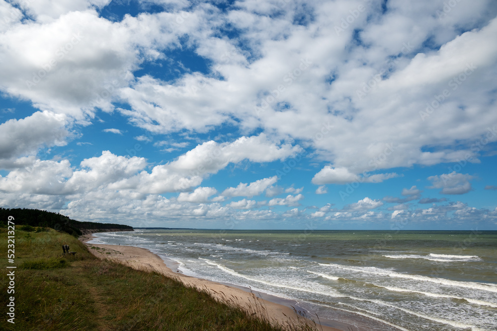 Baltic sea east coast in windy summer day.