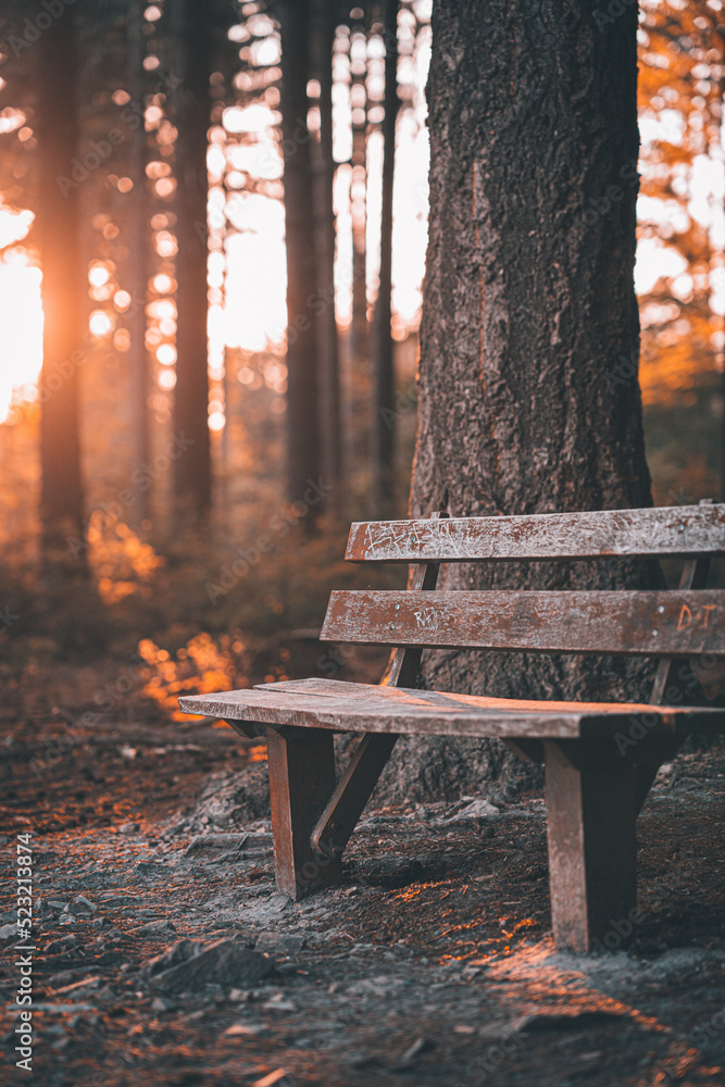 Sitzbank Parkbank im Wald mit romantischen Sonnenuntergang Sitzbank Parkbank im Wald mit romantischen Sonnenuntergang