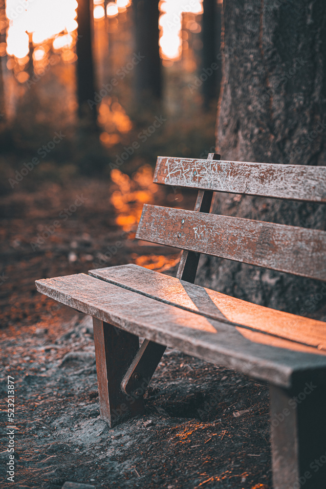 Sitzbank Parkbank im Wald mit romantischen Sonnenuntergang Sitzbank Parkbank im Wald mit romantischen Sonnenuntergang