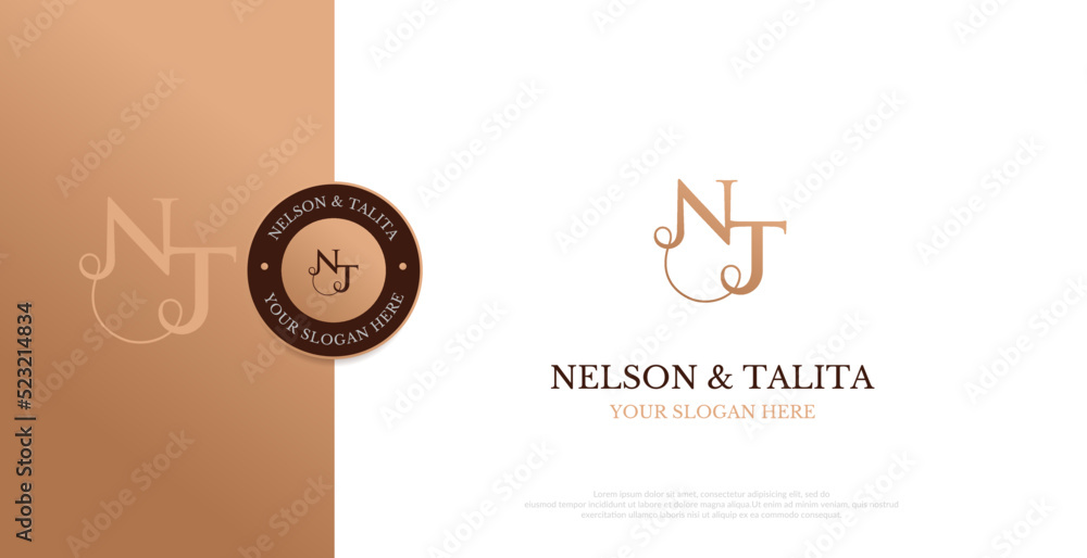 Initial NT Logo Design Vector