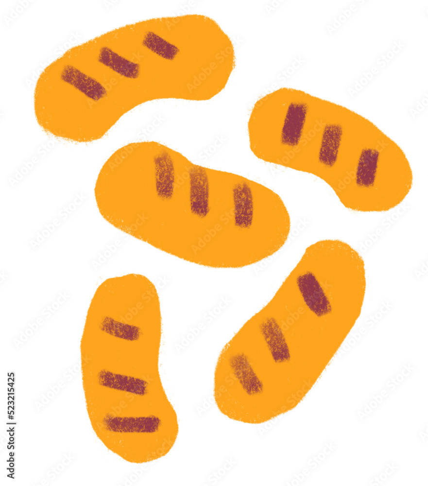 Sausage breakfast food set elements hand drawn doodle minimal style pastel color illustration Sausage breakfast food set elements hand drawn doodle minimal style pastel color illustration
