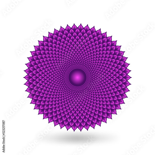 Sahasrara crown chakra is lotus flower with 1000 petals