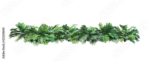 Shrubs and flower on a transparent background 