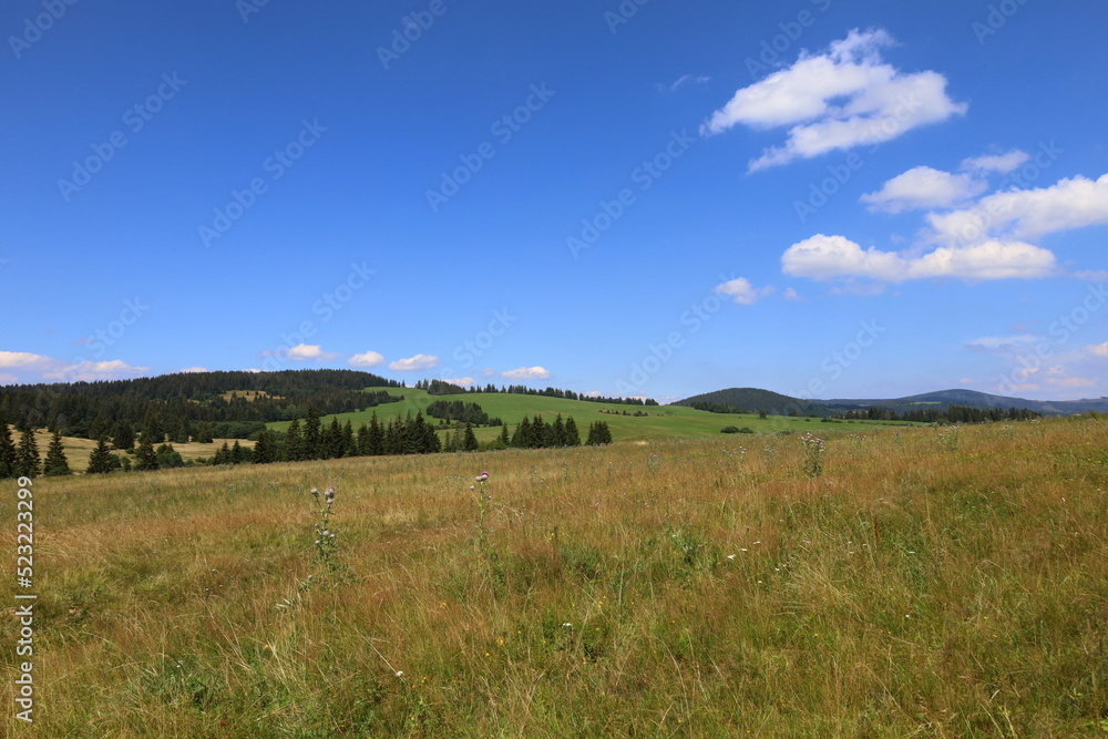 Prosiecka dolina located in a deep canyon in Liptov, Slovakia